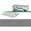 CAMON Immodula 60 compresse - 974645362 - prodotti-veterinari/alimentazione