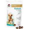 Doppelherz Complesso articolare per cani - Con acidi grassi essenziali omega-3 + vitamina E - 60 chews