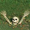 Jonami Decorazioni di Halloween Scheletro Finto, Set Realistico (3 pz.) Teschio e Braccia, Testa e Mani Spaventosi per Decorazione Casa, Giardino, Prato, ecc. Festa di Halloween.