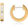 Limerencia Titanio Hoop orecchini signore, 10mm ipoallergenico nichel libero G23 orecchini a cerchio medico con 6A CZ (oro)