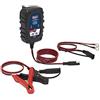 Sealey AUTOCHARGE100HF - Caricabatterie Compatto per Auto, 1 A, 6/12 V