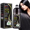 DENESTUP Shampoo Colorante 4 in 1 per Capelli Neri E Grigi - Copertura per Donne E Uomini, 500ml (Nero Naturale)