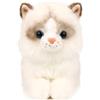 Ice King Bear Little Ragdoll Cat peluche peluche gattino (sdraiato)
