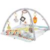 FISHER-PRICE BABY Fisher-Price - Sensi Perfetti Palestrina per Sviluppare Vista e Capacità Motorie, Giocattolo per Neonati, FXC37