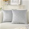 Ystyle Natale 2 Pezzi Fodere Cuscini in Velluto Copricuscino Divano Decorative Federe Morbido Copricuscini Cuscino Moderne Comodo Robusto per Camera da Divano Letto 40x40, Grigio Argento