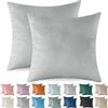 Ystyle Federe Cuscini Divano 60x60 2 Pezzi, Copricuscino in Velluto, Copricuscino Divano Lavabili e Resistenti Anallergico Antiacaro e Traspirante con Cerniera Nascosta, Grigio Argento