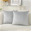 Ystyle Federe Cuscini Divano 45x45 Copricuscino Divano Camera da Letto Cuscini Arredo Fodere Arredamento Casa Federe Moderni Elegante Morbido Resistente in Velluto 2 Pezzi, Grigio Argento