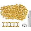 QUARKZMAN 100 Set Rivetti in Pelle 8 x 10mm Elementi Fissaggio Borchie Rivetto a Doppio Cappuccio Metallo 3Pz Montaggio Chicago per Borse Scarpe Pelle Riparazioni, Tono Oro