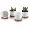 T4U 6.5CM set of 4 Rotondo Sucuulent Erba vaso Con Vassoio Ceramica Vaso di Fiori Pianta Succulente Cactus Vaso di Fiori giardino i vasi di fiori vasi di piante.