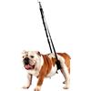 Show Tech Comfort Belly Strap for Dogs - Small