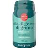 ERBA VITA GROUP SpA OLIO DI GERME DI GRANO 90PRL