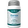 ERBA VITA GROUP SpA FUCUS 125TAV EBV