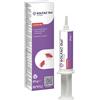 2022 ENVIRONMENTAL SCIENCE FR solfac gel scarafaggi 20 g