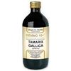 DR.GIORGINI SER-VIS SRL TAMERICE 500ML ANALCO GEMMO10+
