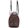 Louis Vuitton Pre-Owned - Zaino Palm Springs mini con monogramma 2017 - unisex - tela/pelle di vitello - Taglia unica - Marrone