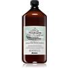 Davines Naturaltech Detexifying Scrub Shampoo 1000 ml