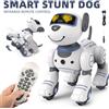 Simpatici giocattoli acrobatici per cani robot intelligenti per regalo di