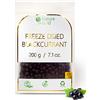 Nature Gold RIBES NERO Liofilizzato | 200g | 100% Naturale & Vegano | Senza OGM | Senza Additivi & Senza Zucchero ~*~