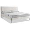 EVERGREENWEB MATERASSI & BEDS EVERGREENWEB - Letto Matrimoniale con Materasso Waterfoam Flex + 2 Cuscini GRATIS, Rete a Doghe in Legno 160x195 cm, Elegante Testiera Imbottita a Strisce in Velluto Bianco, Struttura Rinforzata MIAMI