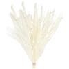 RUGBOL Bouquet di fiori secchi, erba della pampa, boho, fiori secchi, code di coniglio, fiori secchi per vaso, per la casa, la camera da letto e il soggiorno (Stile 3)