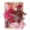 Hileyu Fiori secchi Foglie di fiori secchi pressati misti Fiori artificiali decorativi naturali multipli Fiori secchi per artigianato Torte in resina Gioielli fai da te Nail Art Scrapbooks (Pink)