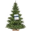 FairyTrees albero di Natale artificiale 220cm Abete Nordmann con supporto in legno | Albero di Natale artificiale con tronco verde | Facile da Montare | Prodotto in EU