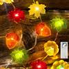 Liyade Catena luminosa a LED autunnale, 2,2 m, 20 LED, zucca, foglie d'acero, ghianda con batteria timer, decorazione autunnale per interni e feste del Ringraziamento