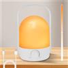 HOTUT Mini Lampada da Tavolo a LED Senza Fili,Portatile Lampada da Comodino con Maniglia,2 Colori Dimmerabile,Lanterna a LED da Campeggio,Luce Notturna Ricaricabile USB per Giardino Campeggio Tenda