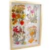 CiciIng Cornice portafoto 3D da riempire, in legno A4, con pannello acrilico trasparente, cornice per oggetti più profonda per foto, fiori, ricordi, opere d'arte fai da te (colore legno)