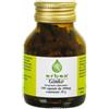 Erbex Ginkgo biloba 100 capsule 380 mg