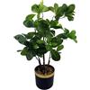 Leaf Bonsai artificiale