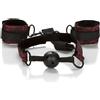 CALEXOTICS - SCANDAL BALL GAG TRASPIRANTE CON MANETTE