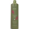 ECHOSLINE Colour Care Shampoo 1000ml
