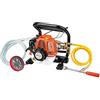 Bricoferr Spruzzatore con motore 2 tempi, tubo e lancia