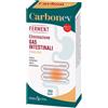 Erba Vita Carbonev Ferment Capsule 15 g