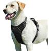 Eagloo Pettorina Cane Taglia Grande, Pettorina ad h Antifuga, Imbracatura per Cani Anti Tiro con Doppio Gancio, Imbracatura Robusto e Regolabile per Addestramento Passeggiate, L, Nera