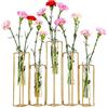 hellohome Vaso da fiori incernierato con 5 provette con telaio in metallo dorato può essere piegato e contorto, stazione di propagazione supporto per piante Tubos de Ensayo per decorazioni domestiche per