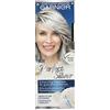 Garnier Nutrisse Crema neutralizzante Garnier Perfect Silver Grey Hair.