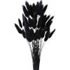 GIUSOBG Code di Coniglio Erba della Pampa 50 Pezzi Pianta Boho Fiori Secchi Naturali, Pampas Decorative per Decorazioni Casa Tavola Matrimonio (Nero)