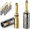 deleyCON 12 Pezzi Connettori a Banana Set - Placcato Oro Avvitabile per Cavo per Altoparlanti Cavo per Altoparlanti 0,75 mm - 4,5 mm & ad es. HiFi Audio Home Theater Ricevitore - Grigio