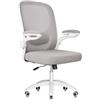 MELOKEA Sedia da scrivania bionica 4D lombare, ergonomica, con bracciolo ribaltabile a 100°, altezza regolabile, sedia da computer, in rete, conforme alle norme EN12520, grigio beige