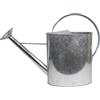 HOME IT® Annaffiatoio in Metallo Zincato 10L con Rosa Rimovibile - Classico Annaffiatoio da Giardino con Beccuccio Lungo, Facile da Usare e Pulire