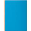 Exacompta - Rif. 416002E - Cartone da 10 confezioni da 10 cartelline rigide a soffietto posteriore telato ROCK''S 320 g/m² - dorso da 30 mm - camicie certificate PEFC™ - dim 24 x 32 cm per formato A4