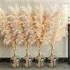 Bannifll 20 pezzi di erba della pampa naturali da 100 cm, per decorazioni, per matrimoni, feste, fattoria, decorazione per la casa in stile bohémien.