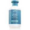 Wella Invigo Scalp Balance Anti-Dandruff Shampoo 300 ml