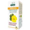 DR.GIORGINI SER-VIS SRL Tribulus Estratto Titolato - Integratore per Prostata e Vie Urinarie - 80 Pastiglie