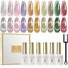 ROSALIND Smalto Semipermanente Unghie Magnetico, 10 Colori Jelly Crystal Cat Eye Smalti Semipermanenti per Unghie Argento Rosa Viola Marrone Verde Rosso, UV/LED Smalto Gel Manicure Regalo