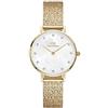 Daniel Wellington DW00100594 Orologio Da Donna
