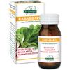 DR.GIORGINI SER-VIS Srl RABARBARO 80PAST