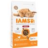IAMS Advanced Nutrition Indoor Pollo fresco Crocchette per gatto - 3 kg